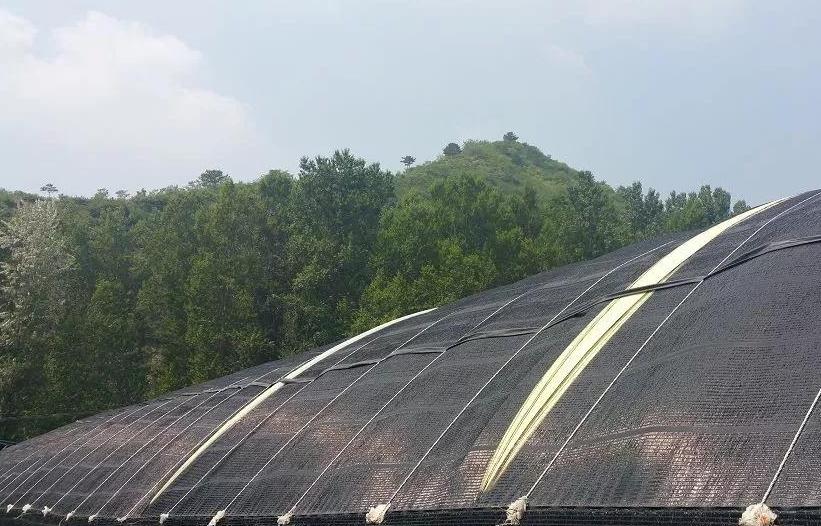 遮陽網廠家小編教您辨別遮陽網優劣