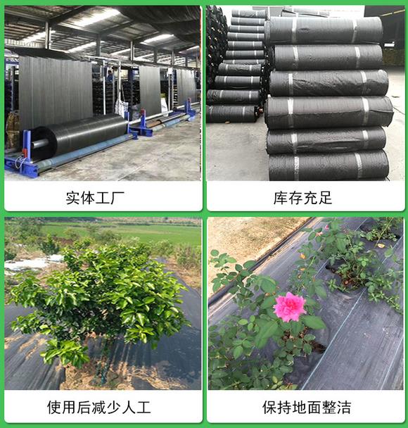 石榴種植應(yīng)用