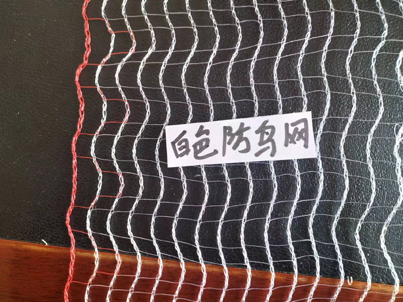 白色防鳥(niǎo)網(wǎng)